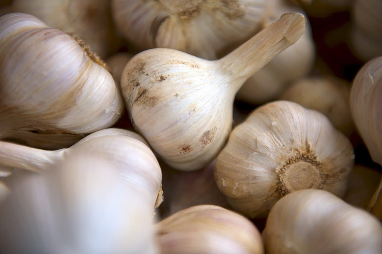 A close-up pile of whole garlic bulbs with papery white-and-tan skins, one in the center standing upright on its dried stem